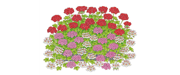 ROTE PFLANZIDEEN ROTE PFLANZIDEEN