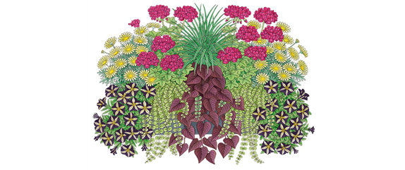 ROTE PFLANZIDEEN ROTE PFLANZIDEEN