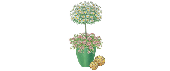 PFLANZIDEEN MIT STäMMCHEN PFLANZIDEEN MIT STäMMCHEN