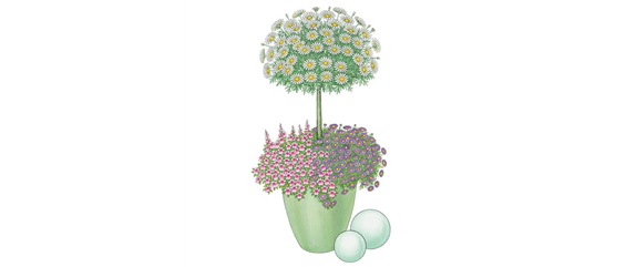 PFLANZIDEEN MIT STäMMCHEN PFLANZIDEEN MIT STäMMCHEN