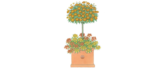 PFLANZIDEEN MIT STäMMCHEN PFLANZIDEEN MIT STäMMCHEN