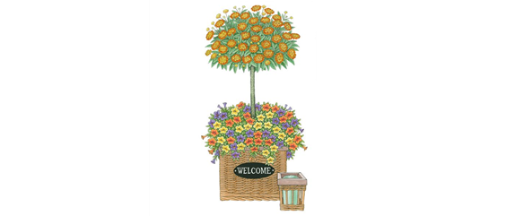 PFLANZIDEEN MIT STäMMCHEN PFLANZIDEEN MIT STäMMCHEN