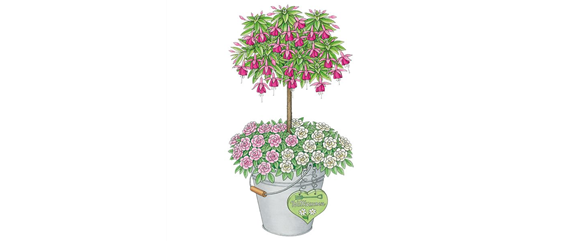 PFLANZIDEEN MIT STäMMCHEN PFLANZIDEEN MIT STäMMCHEN