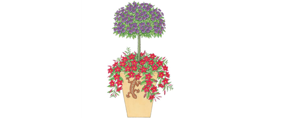 PFLANZIDEEN MIT STäMMCHEN PFLANZIDEEN MIT STäMMCHEN