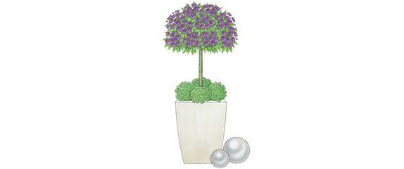 PFLANZIDEEN MIT STäMMCHEN PFLANZIDEEN MIT STäMMCHEN