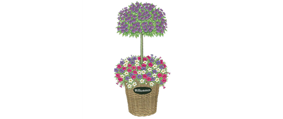 PFLANZIDEEN MIT STäMMCHEN PFLANZIDEEN MIT STäMMCHEN