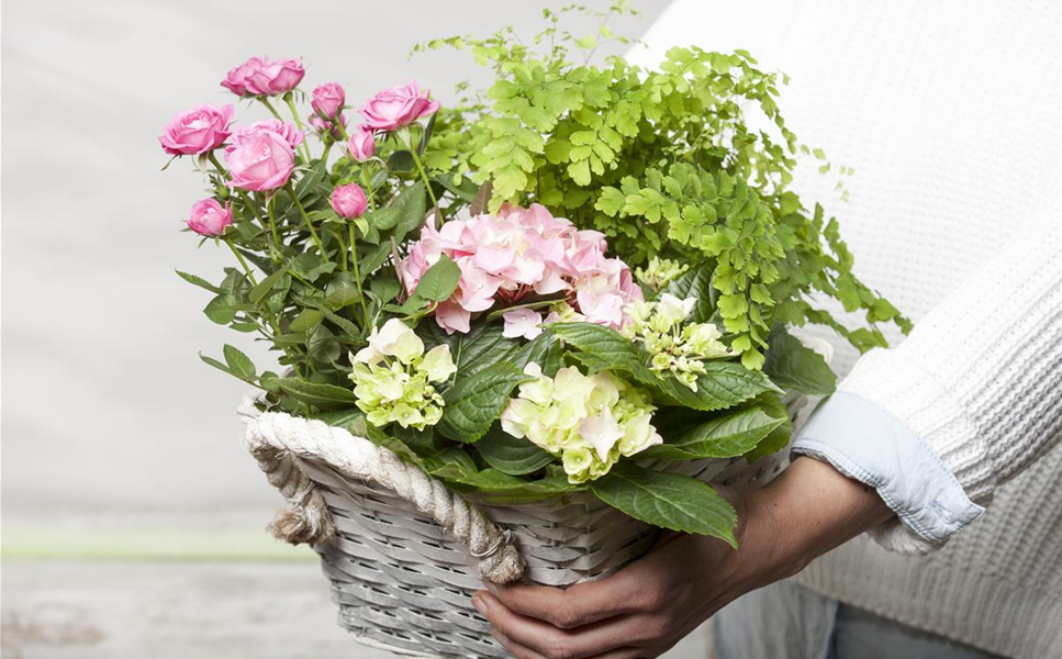 MAUCH GARTENMARKT GUTSCHEIN MAUCH GARTENMARKT GUTSCHEIN