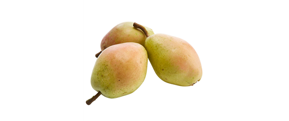 OBSTGARTEN! OBSTGARTEN!