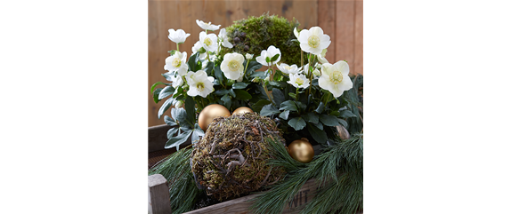 STILVOLL INS RECHTE LICHT GERüCKT! STILVOLL INS RECHTE LICHT GERüCKT!