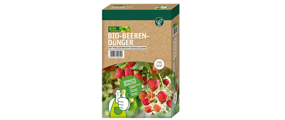 ERDBEEREN AUS DEM EIGENEN GARTEN ERDBEEREN AUS DEM EIGENEN GARTEN