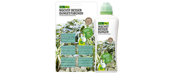 TIPPS FüR HüBSCHE ZIMMERPFLANZEN TIPPS FüR HüBSCHE ZIMMERPFLANZEN