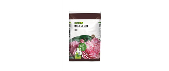 STRAUCHROSE  STRAUCHROSE