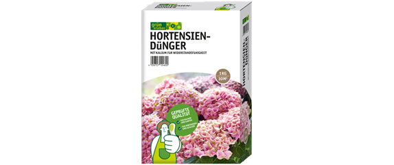 KLETTERHORTENSIE KLETTERHORTENSIE