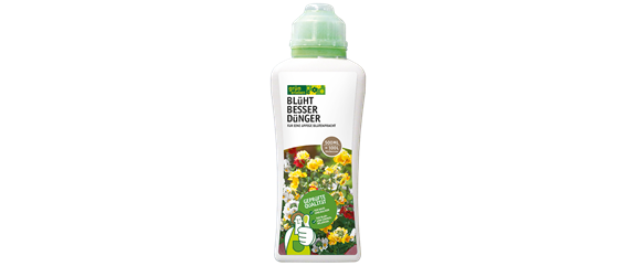 FLAMINGOBLUME FLAMINGOBLUME