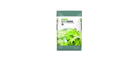 PFLANZE DES MONATS AUGUST: HERBSTANEMONE