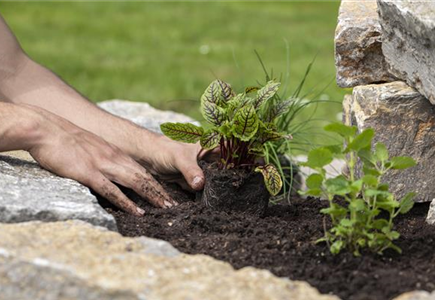 KUNDENKARTEN-SERVICE