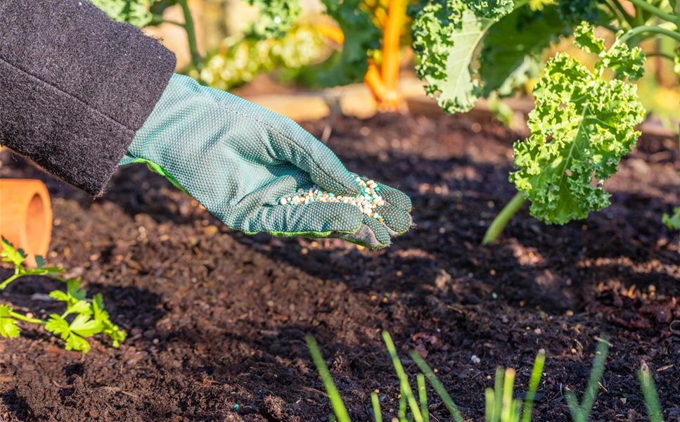 Die Vielfalt erleben - Zubehör für jeden Geschmack Die Vielfalt erleben - Zubehör für jeden Geschmack