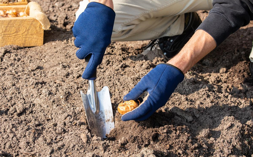 Auf der sicheren Seite - Mit unserem Zubehör Auf der sicheren Seite - Mit unserem Zubehör