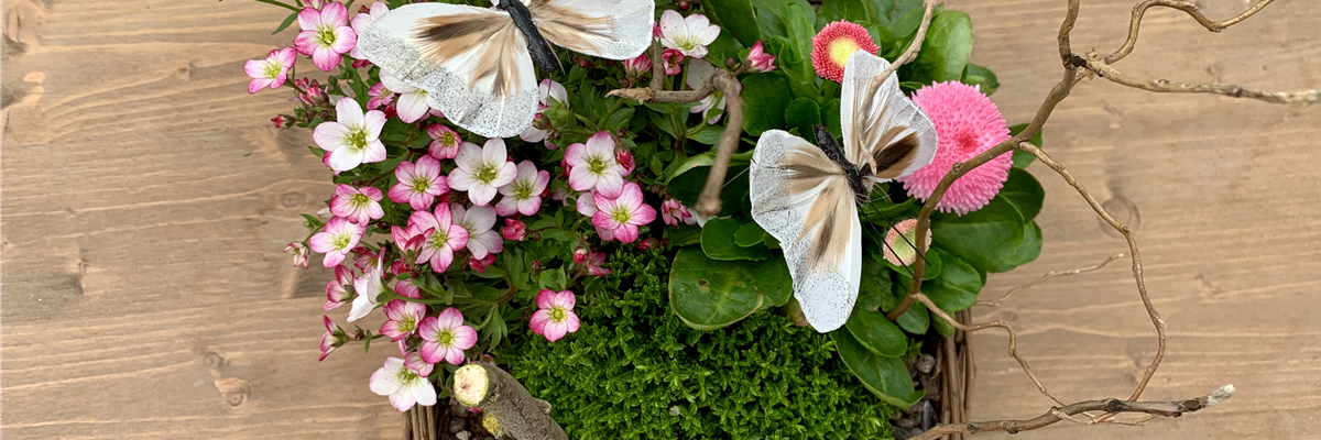 Mauch-Bepflanzte Gefäße