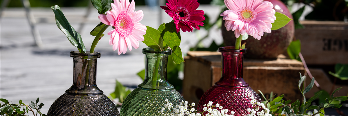 Gerberas in Vasen
