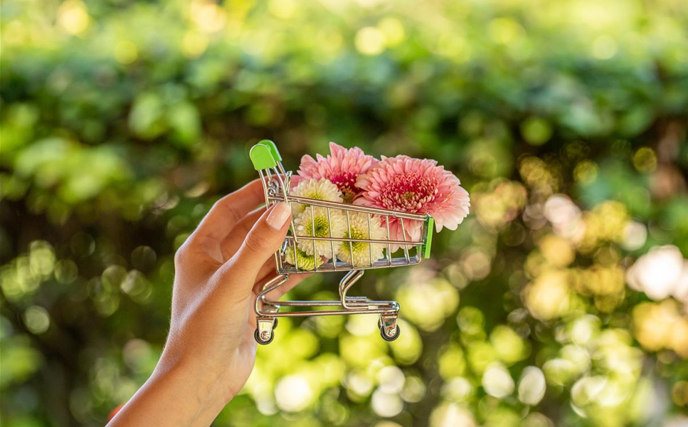 Click & Collect - Online bestellen und im Gartencenter abholen Click & Collect - Online bestellen und im Gartencenter abholen