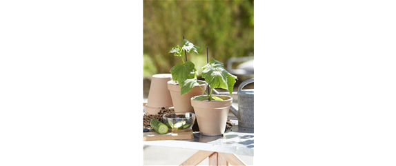 FRISCHER GEHTS KAUM!  FRISCHER GEHTS KAUM!