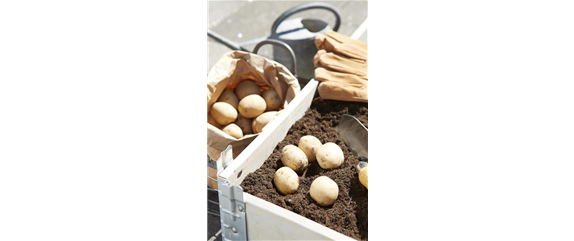 FRISCHER GEHTS KAUM!  FRISCHER GEHTS KAUM!