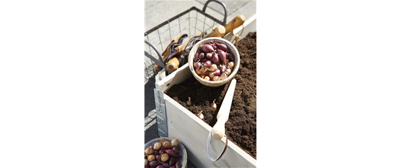 FRISCHER GEHTS KAUM!  FRISCHER GEHTS KAUM!