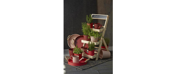 FRISCHE KRÄUTER!  FRISCHE KRÄUTER!