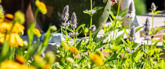 DAS SCHMECKT JA IRRE DAS SCHMECKT JA IRRE