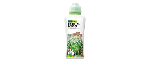 Pflanze des Monats Februar: Sukkulenten Pflanze des Monats Februar: Sukkulenten