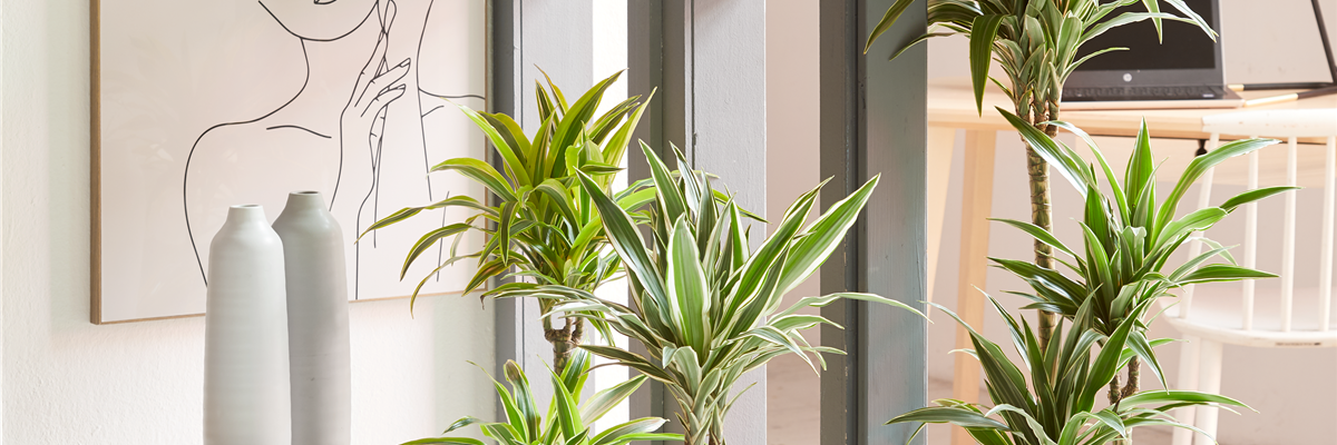 GRÜNES UPDATE FÜR DEIN HOMEOFFICE!